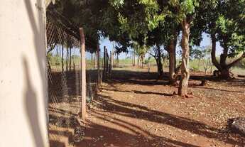 Imagem 6: Chacara molhada em Alvorada