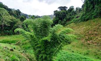 Imagem 7: Sítio em Domingos Martins com 2 Rios