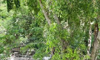 Imagem 5: Ótimo apartamento, frente de rua sem saída arborizada muito verde com segurança