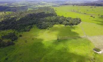 Imagem 5: Fazenda Extra 86 Alqueires de Cultura de Bacuri!