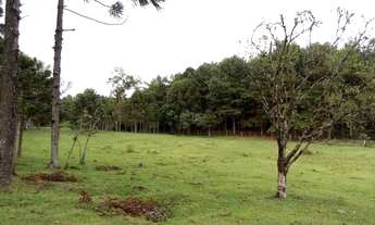 Imagem 6: Vendo ou troco Terreno / lote com venda por R$165.000