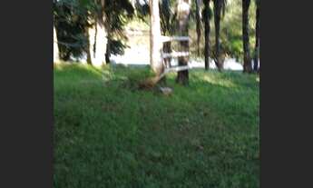 Imagem 5: Sítio 20 ha - Excelente Oportunidade - Porteira Fechada com Escritura e Registro de Imóvel