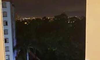 Imagem 5: APARTAMENTO - JARDIM SÃO SAVÉRIO - SP