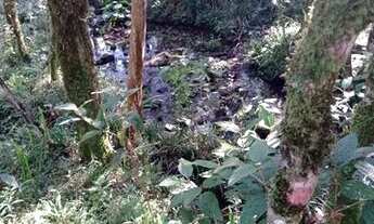 Imagem 2: Vende-se terra Chácara com venda por R$908.000