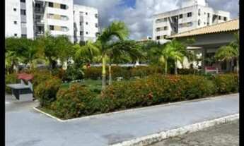 Imagem 3: Mar de Aruana 2 56453 !