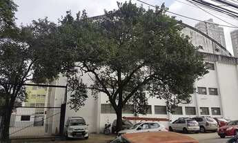 Imagem 4: Galpão Comercial em São Paulo