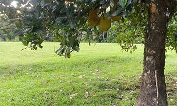 Imagem 6: Casa 2 quartos em sítio residencial