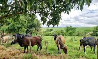 Imagem 3: área - Área 1 - Artur Nogueira