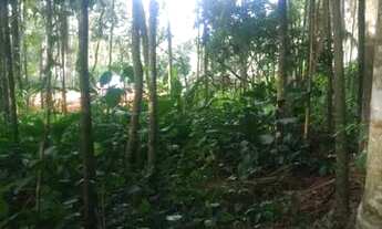 Imagem 6: Investimento ou moradia - Terreno em Pomerode/ SC - Testo Rega