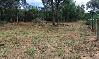 Imagem 7: Dois hectares a 12 km de Campo Grande