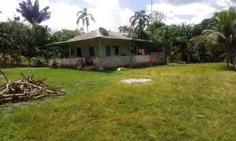 Imagem: Sítio - Casa, campo, ponto comercial