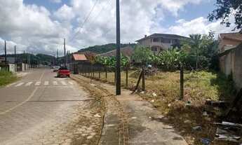 Imagem 4: Lindo terreno residencial ou comercial