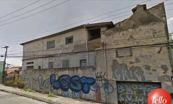 Imagem: São Paulo - Terreno Padrão - Tucuruvi