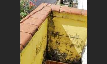 Imagem 3: Casa com 6 dormitórios à venda, 200 m² por R$ 900.000,00 - Serra - Belo Horizonte/MG