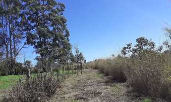 Imagem 3: 5 hectares rua 18 Lago Oeste