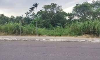 Imagem 3: Vendo terreno no parque das Laranjeiras