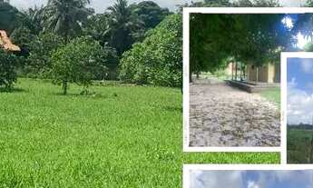 Imagem: Investidor olha só essa oportunidade