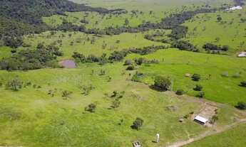 Imagem 4: Fazenda Extra 86 Alqueires de Cultura de Bacuri!
