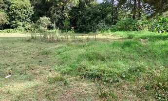 Imagem 3: Chácara com casa em alvenaria no Guarituba/Piraquara