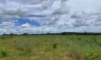Imagem 7: Fazenda 213ha, com casa sede e casa de caseiro, duas nascentes, represa, Jaboticatubas