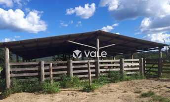 Imagem 2: Fazenda à venda, 571120 m² por R$ 3.000.000,00 - Plano Diretor Norte - Palmas/TO