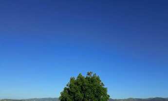 Imagem 6: VENDO CHÁCARA CAÇAPAVA