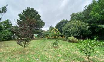 Imagem 6: Salomone vende Sítio Estilo Rústico de 2600me Escriturado