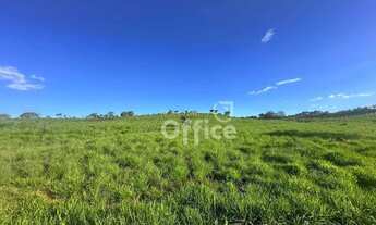 Imagem 7: Área à venda, 29860 m² por R$ 20.604.400,00 - Setor Industrial Aeroporto - Anápolis/GO