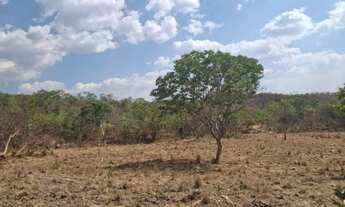 Imagem: Fazenda à Venda - 33 Alqueires - Niquelândia