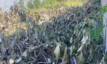 Imagem 7: Terreno em condomínio fechado