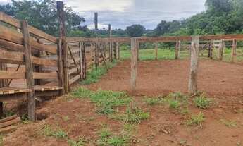 Imagem 5: Fazenda à venda em Monte Alegre de Minas