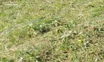 Imagem 4: Terreno Itaporanga ( camaçari mirin