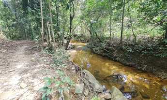 Imagem 7: Fazenda de cria e recria, 105 alqueires , Vila Propício, GO