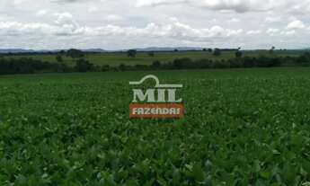 Imagem 6: Fazenda em Arenópolis-GO. 92 Alqueires