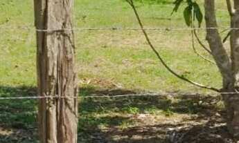 Imagem 5: Terreno Januári - 20 x 30