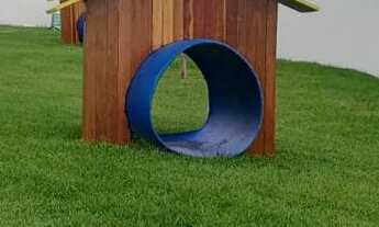 Imagem 6: MANDACARÚ (ALTO DO CÉU) entrada facilitada