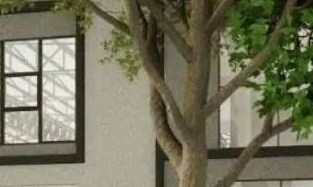 Imagem 7: Lote/Terreno à Venda, 1900 m² por R$ 36.000.000 - Cambuci/SP