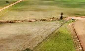 Imagem 2: Fazenda de 127 alq em Bela Vista Go