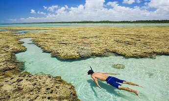 Imagem 7: Terreno em milagres alagoas