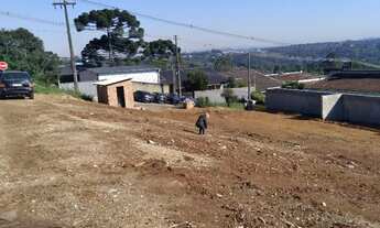 Imagem 4: LOTES NO BAIRRO TABOÃO