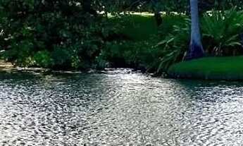 Imagem 5: Apartamento Beach Place Resort Aquiraz - Térreo