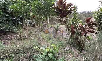 Imagem 4: Chácara com 1 dormitórios à venda, 1000 m² por R$ 250.000 - Vargem Alta - Nova Friburgo/RJ