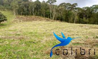 Imagem 4: Terreno para moradia ou chácara em Agudos do Sul