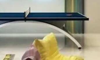 Imagem 5: APARTAMENTO - PEREQUÊ - SC