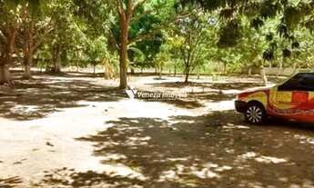 Imagem 7: SITIO NA ESTRADA DA CACIMBA VELHA A VENDA