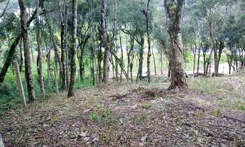 Imagem 5: Venda de chacara