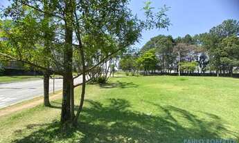 Imagem 3: TERRENO - TAMBORÉ - SP