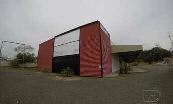 Imagem 5: OPORTUNIDADE UNICA