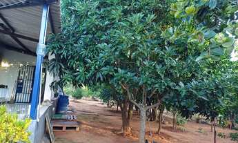 Imagem 4: Chácara a venda