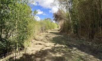 Imagem 4: O Melhor de Ibiúna: Terrenos 1000m² com Documentação OK